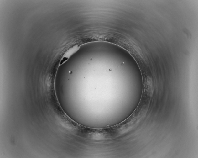 X0000111850412200907301114