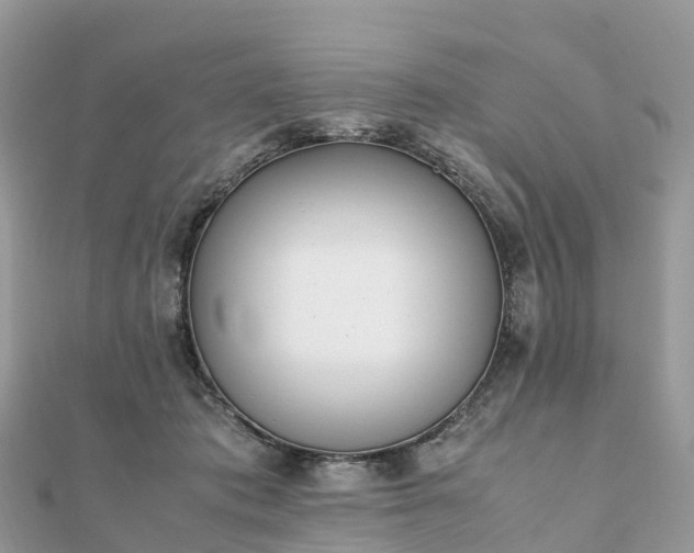X0000111850413200907301114