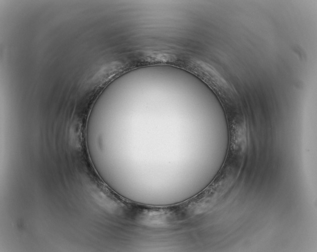 X0000111850414200907301114