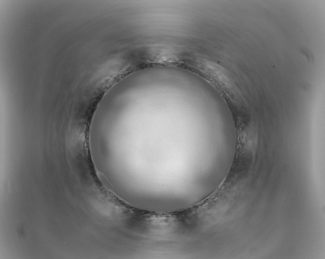 X0000111850415200907301114