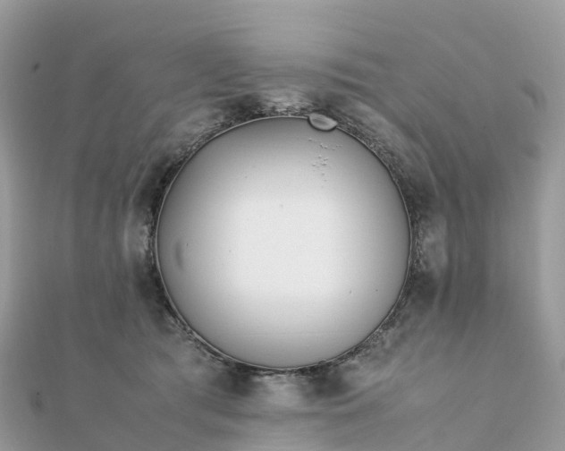 X0000111850417200907301114