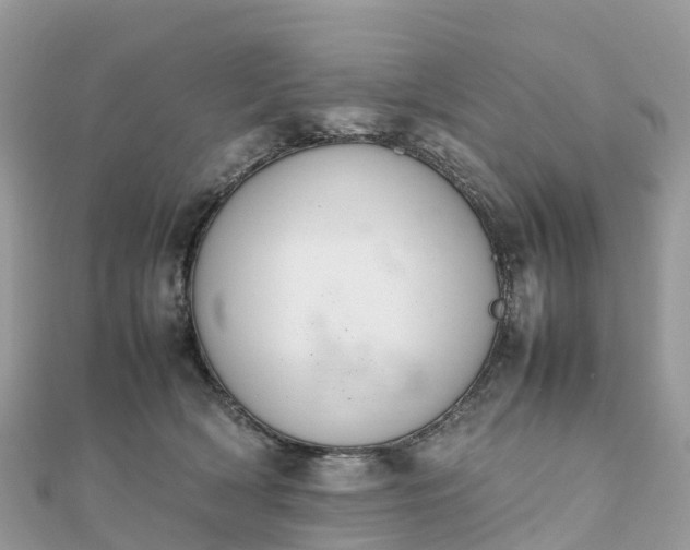 X0000111850418200907301114