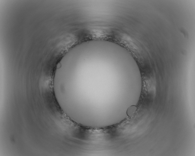X0000111850419200907301114