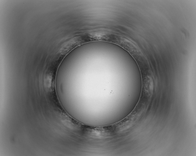 X0000111850420200907301114