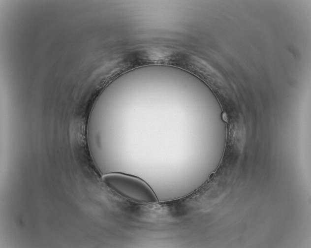 X0000111850421200907301114