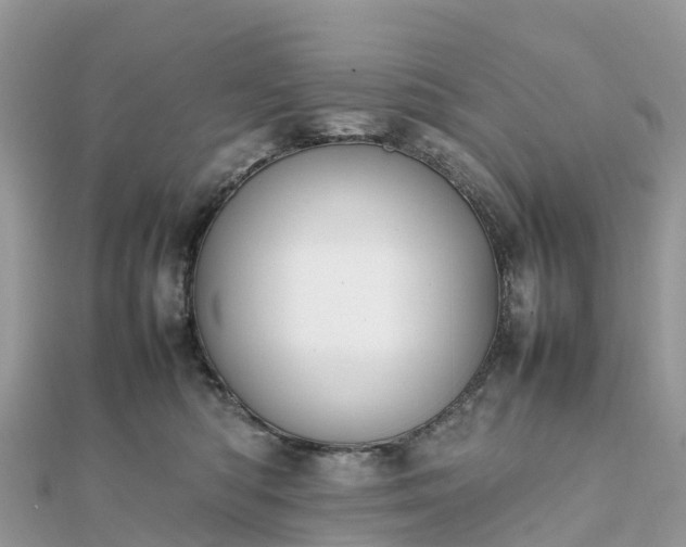 X0000111850422200907301114