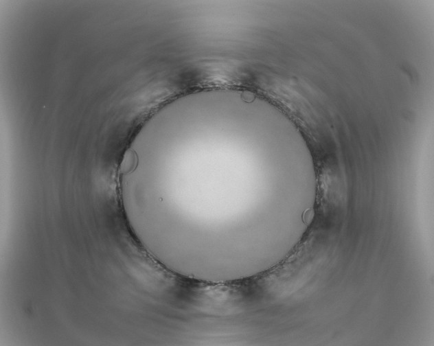 X0000111850423200907301114