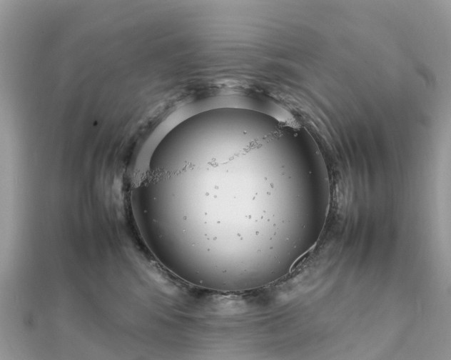 X0000111850424200907301114