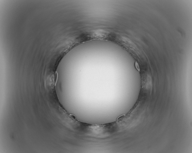X0000111850425200907301114