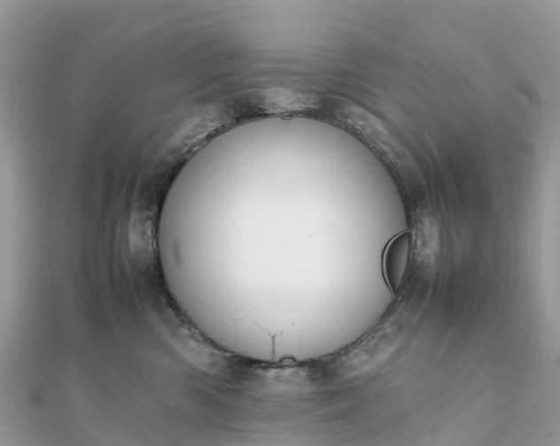 X0000111850426200907301114