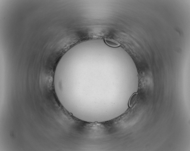 X0000111850427200907301114