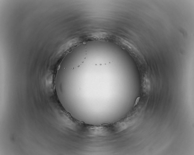 X0000111850428200907301114