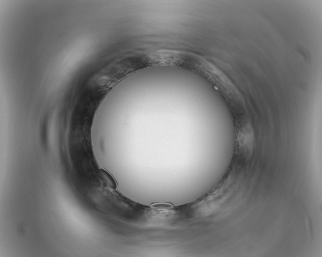 X0000111850429200907301114