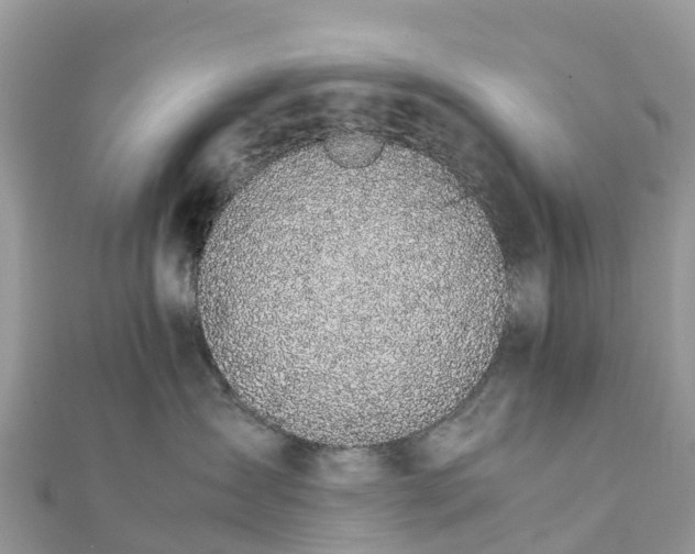 X0000111850431200907301114