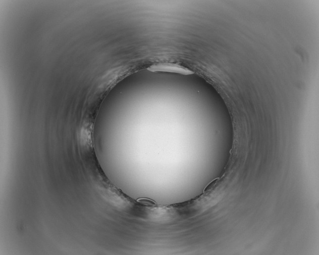 X0000111850432200907301114