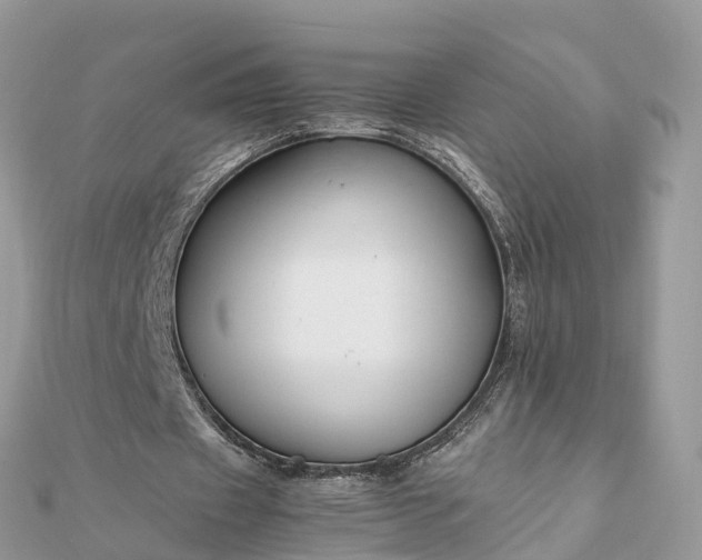 X0000111850433200907301114