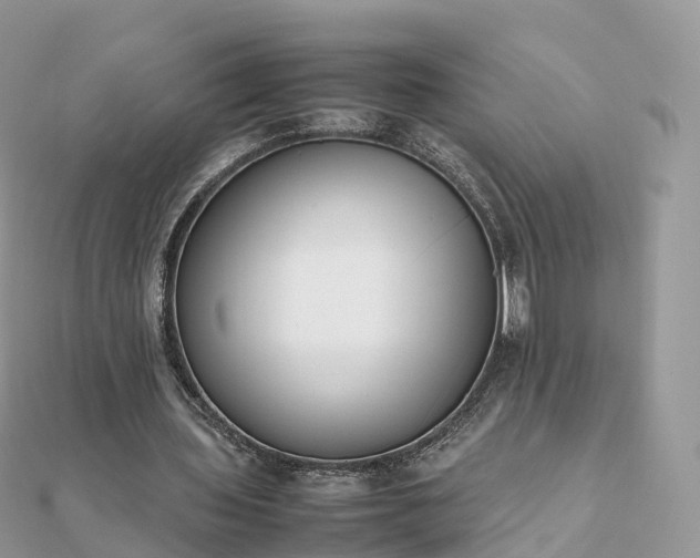 X0000111850435200907301114