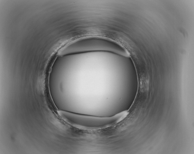 X0000111850436200907301114