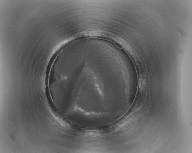 X0000111850438200907301114