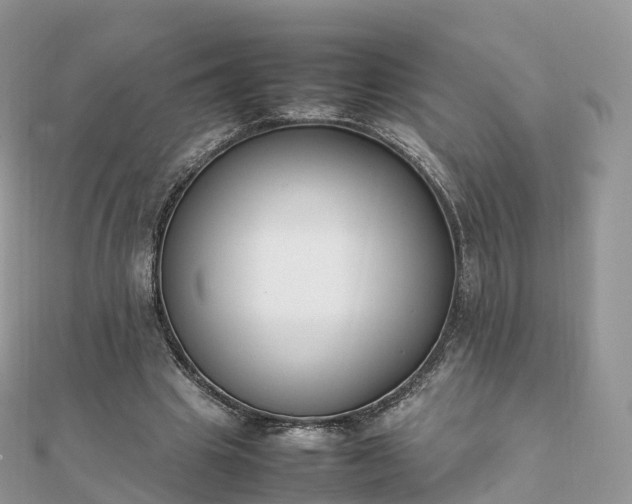 X0000111850441200907301114
