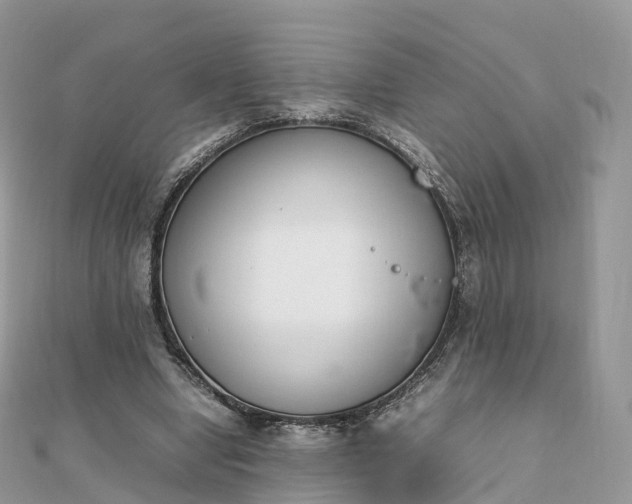 X0000111850442200907301114