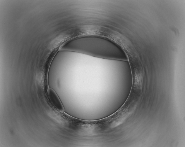 X0000111850444200907301114