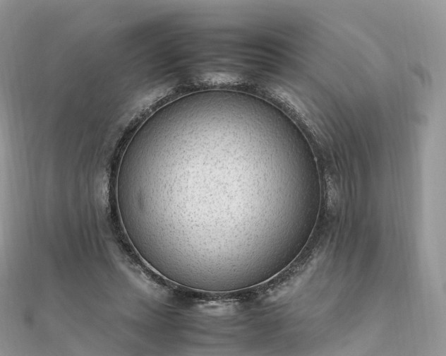 X0000111850447200907301114