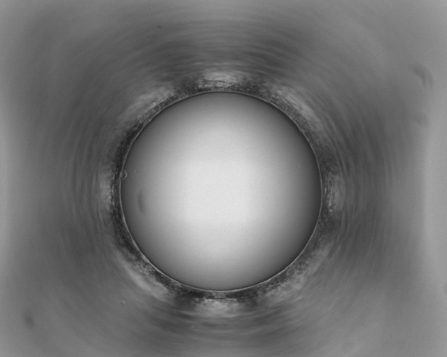 X0000111850455200907301114