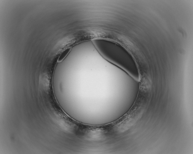 X0000111850456200907301114