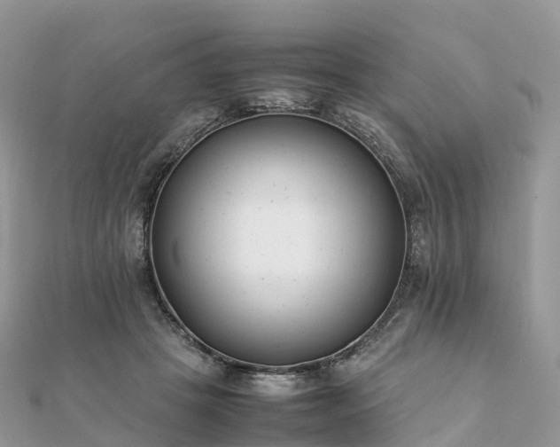 X0000111850457200907301114