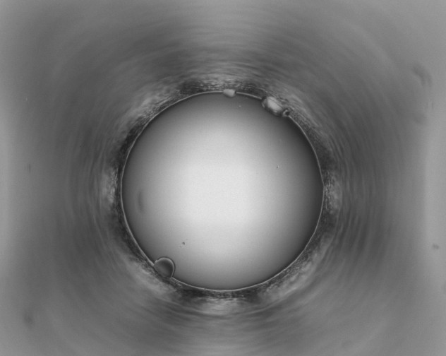 X0000111850458200907301114