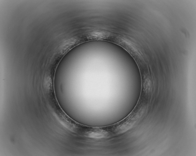 X0000111850459200907301114