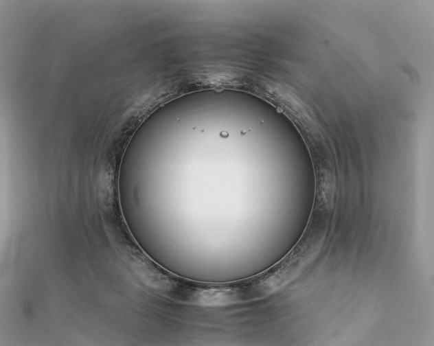 X0000111850461200907301114