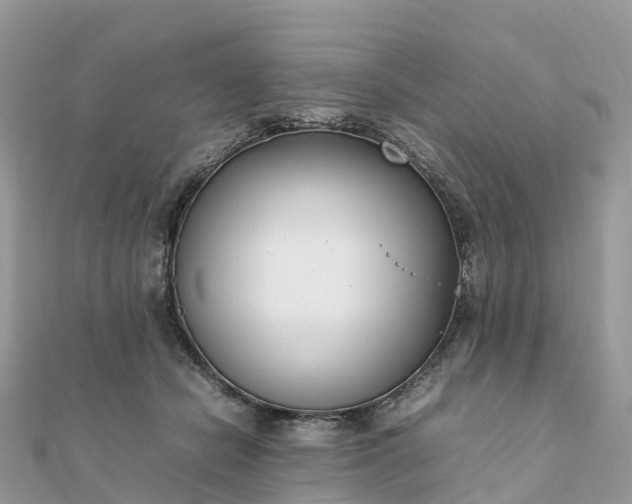 X0000111850462200907301114