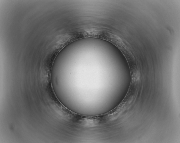 X0000111850464200907301114