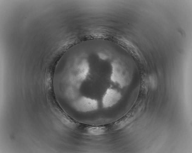 X0000111850465200907301114