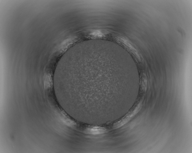 X0000111850467200907301114