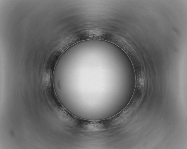 X0000111850468200907301114