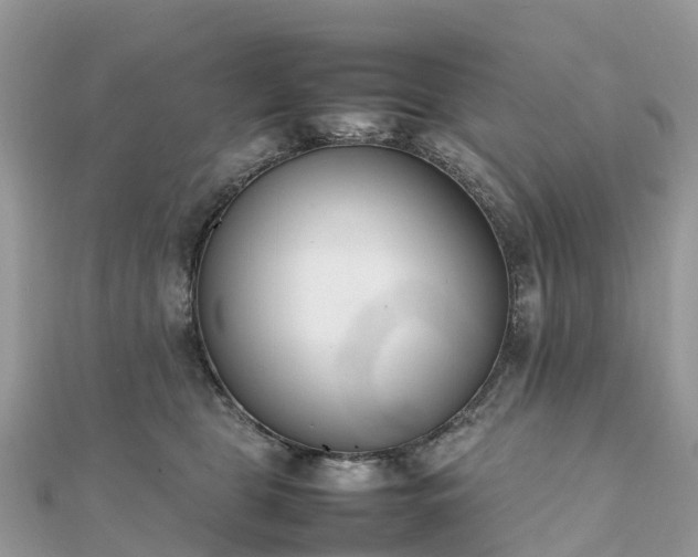 X0000111850469200907301114