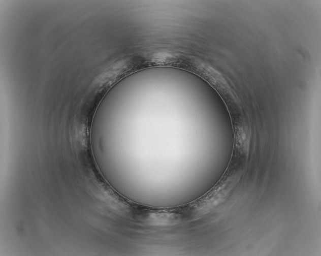 X0000111850470200907301114
