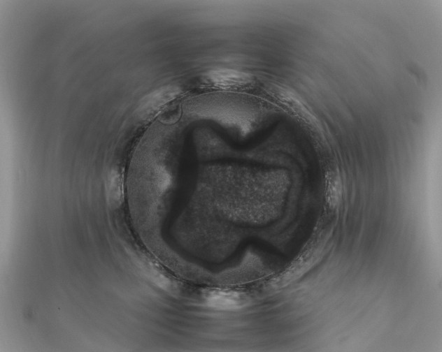 X0000111850471200907301114