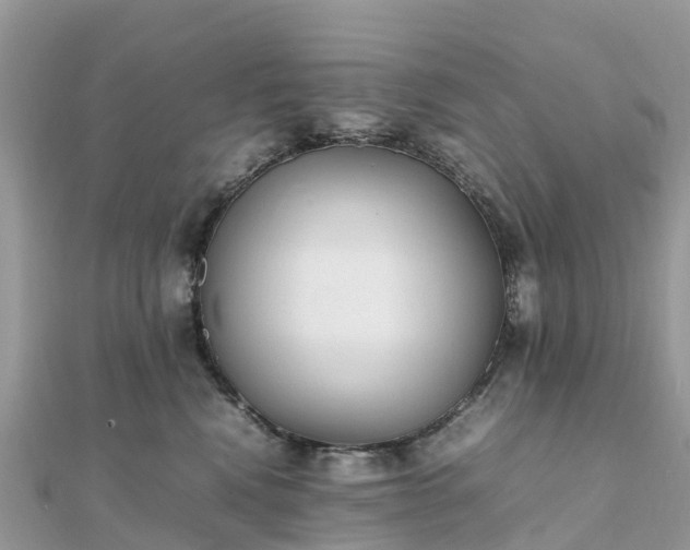 X0000111850472200907301114