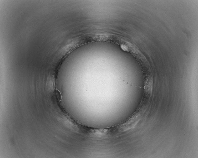 X0000111850474200907301114