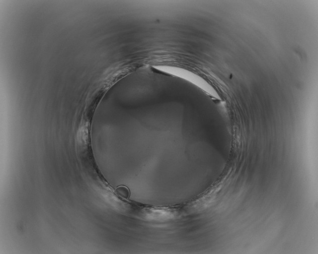 X0000111850475200907301114