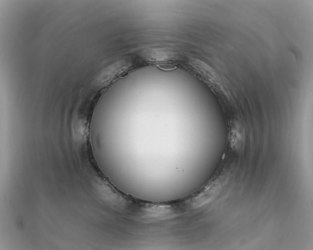 X0000111850476200907301114