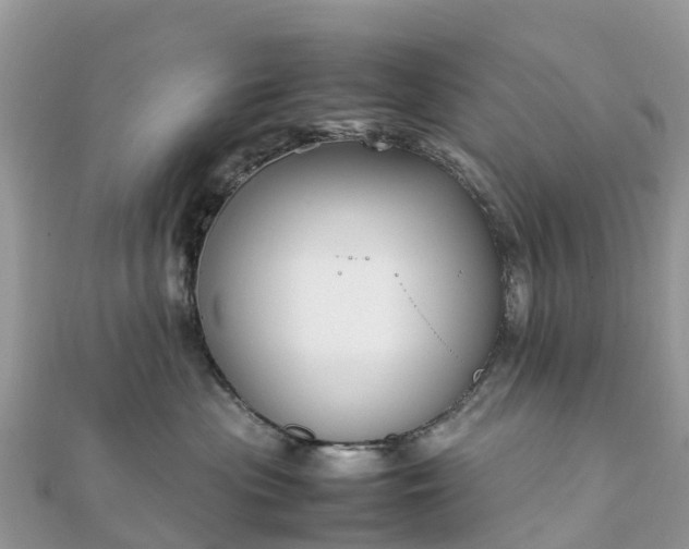 X0000111850477200907301114