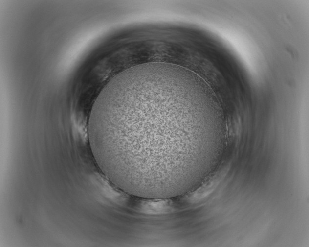 X0000111850479200907301114