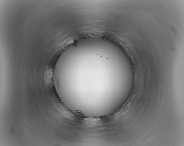 X0000111850480200907301114