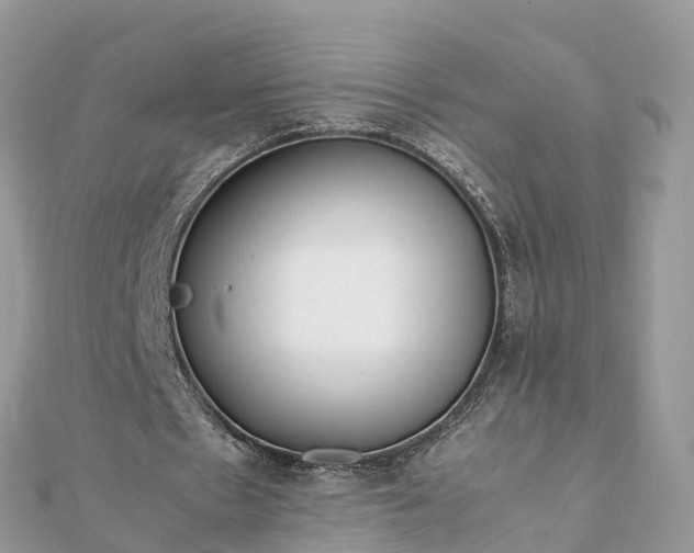 X0000111850481200907301114