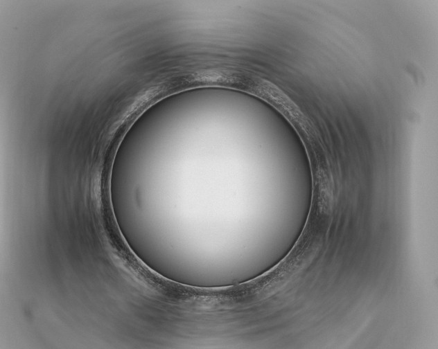X0000111850482200907301114